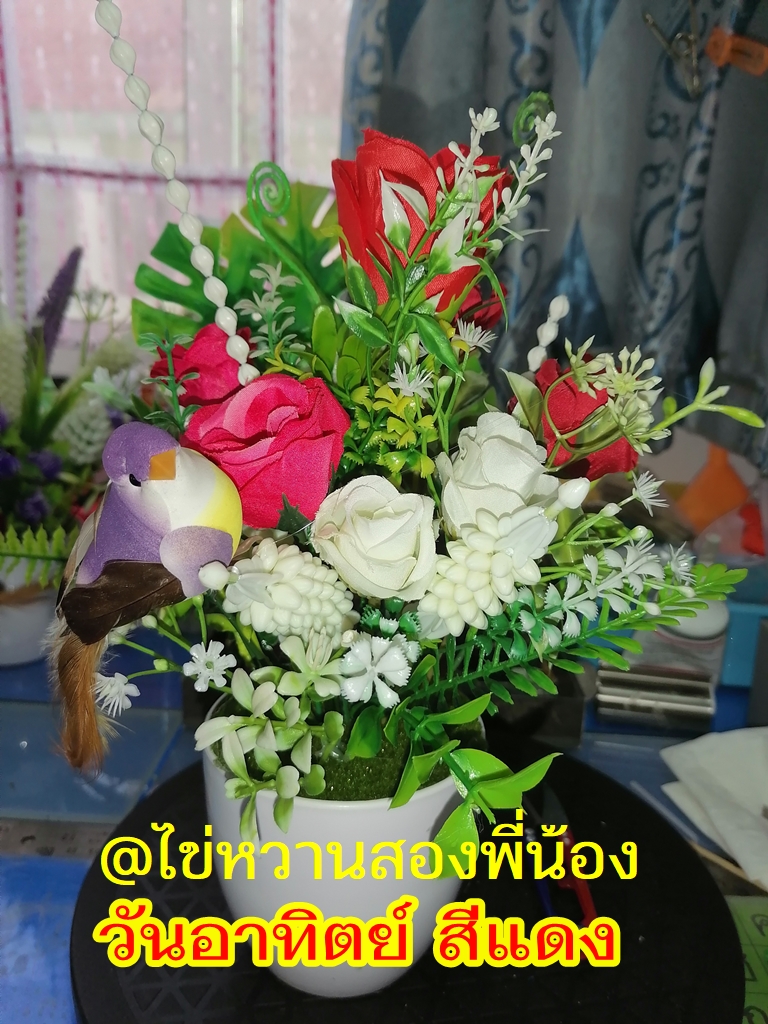 01-อาทิตย์สีแดง.jpg